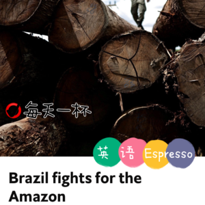 【98】巴西为保护亚马逊雨林而战