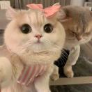 小陈小陈钱包变沉