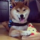 千言万语_Yufu