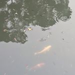 自强不息的小强