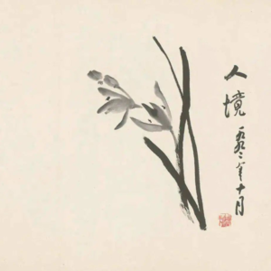 Vol.17 受戒：桨划芦花荡
