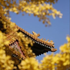 序章的朋友