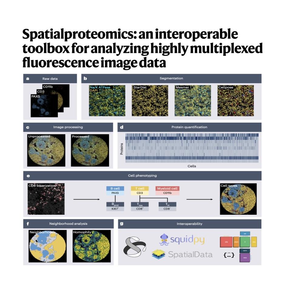 1552-Spatialproteomics for Multiplexed Image Analysis episode artwork