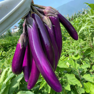 VOL180.无论你的家庭有多么糟糕，请记住它最多限制你的起点，而不是你的终点。