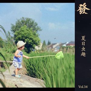 34期 - 夏日虫趣