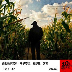 西北诡事实录：孝子守灵，青纱帐，梦蟒