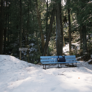 Vol.001 天气真好，来读点阴湿的故事 | 凶手总是回到犯罪现场