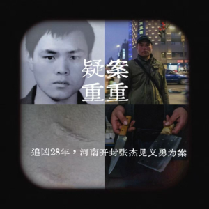 EP18.追凶28年：河南开封张杰见义勇为案