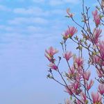 明明如月悠悠我心