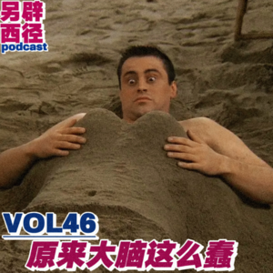 VOL46 《是我把你蠢哭了吗》：节后综合征化解指南