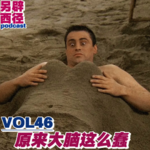 VOL46 《是我把你蠢哭了吗》：节后综合征化解指南