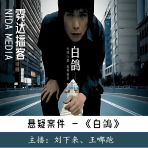 95. 请你为我唱首歌(2)：飞翔的《白鴿》