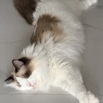 Jackiee_