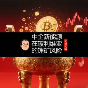 中企新能源在玻利维亚的锂矿风险