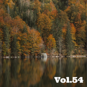 过去一年多 - 无稽之谈 Vol.54