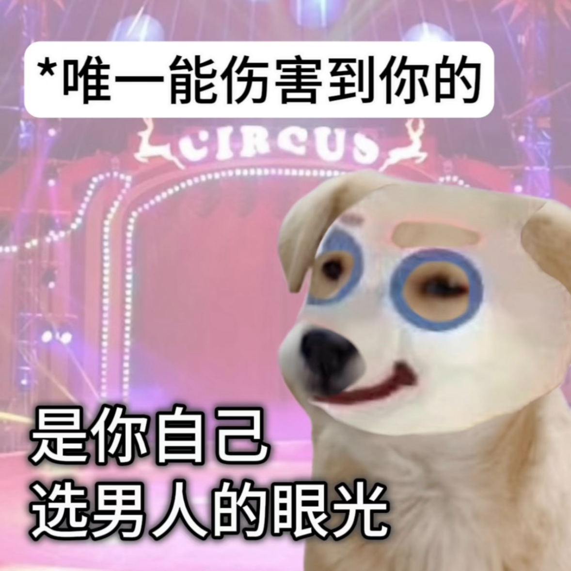 49｜渣男信号警报🚨，跑、快跑、连夜跑 episode artwork