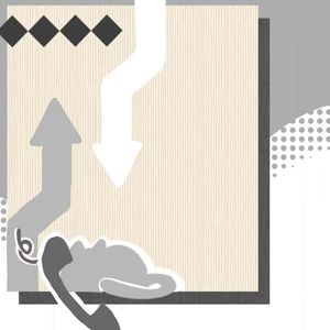 小猫学姐的故事