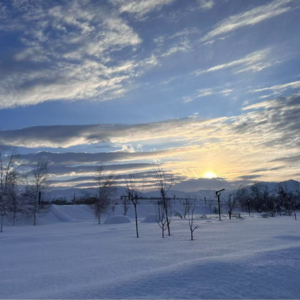 从职场到星盘：一场土星回归的洗礼