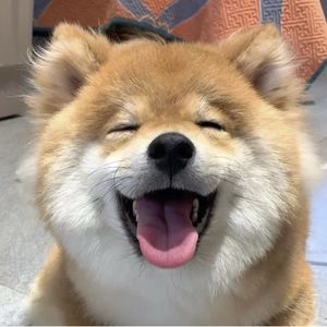 一把锅铲