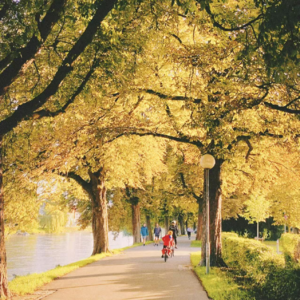 EP 4 跑步与自我对话：珍贵的不是终点，而是途中的每一次日出日落