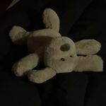 陈昭昭不昭