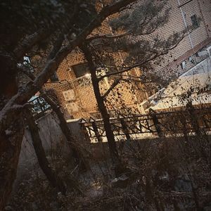 podcaster-avatar