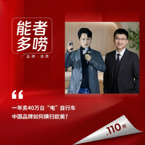 Vol.110 一年卖40万台“电”自行车 中国品牌如何横扫欧美？