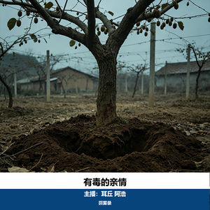 26 有毒的亲情|陕西周至杀子案