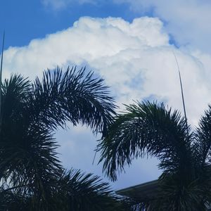 番外:这一档播客已经两年了。