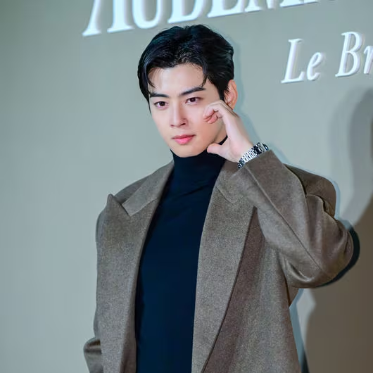 Legal Interpretation of the 93 Cha Eun-woo 20 Billion Korean Won Tax Controversy