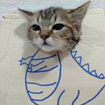 孔雀肺
