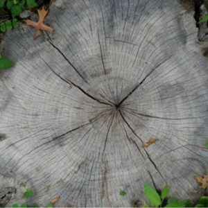 Vol.2 六月：30岁不错，40岁更不错，变老没那么可怕