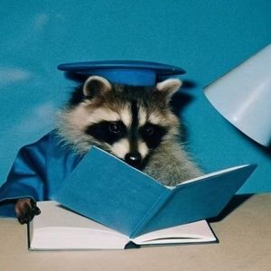 头比瓜大的瓜瓜