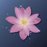 星野寻知旅