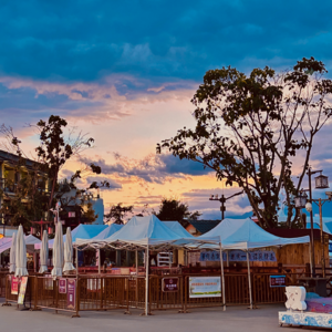 EP5 别分析了，爱就是一场瞎闹