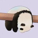 陈小鲸