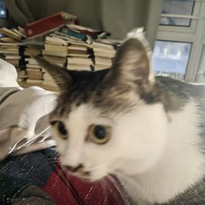 podcaster-avatar