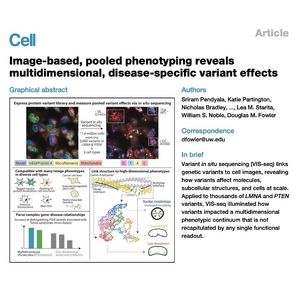 1028-VIS-seq: Multidimensional Mapping of Variant Effects