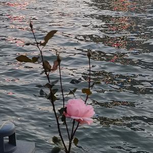 自我观察日记02