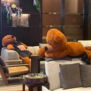 29. 人生若有新体验，你，要拒绝吗