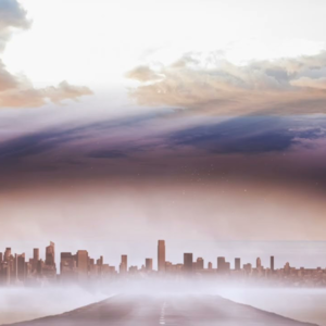 杨定一:样样是个大错觉 (2026.01.24)