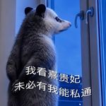 轻来Clair