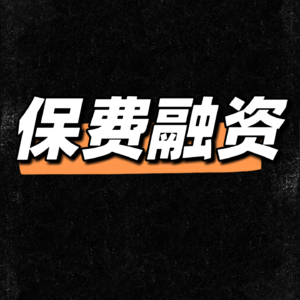 新加坡保费融资