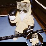 大家好我是老喵