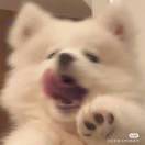 疆瑾