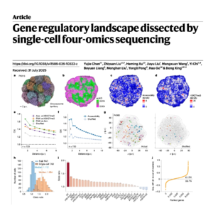 809-CHARM: 4-Omics of Mammalian Gene Regulatory Landscape