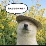 天空閃過燦爛花火