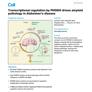 科学家发现阿尔茨海默病的隐藏病因，AI发挥关键作用