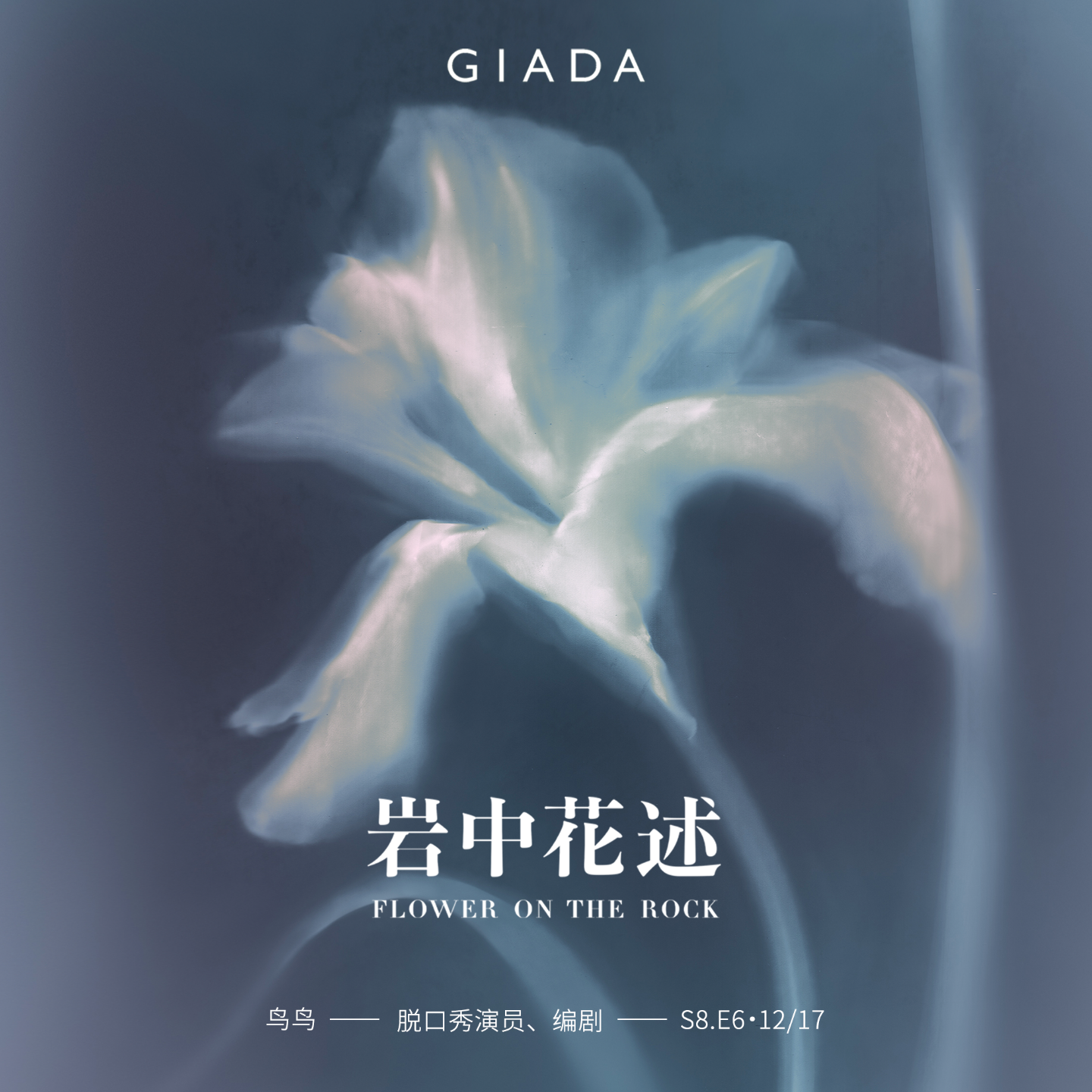 S8E6 鲁豫对话鸟鸟｜没有魅力的人，也值得拥有世界