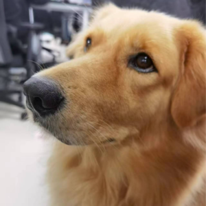 Vol04.牛马假日（上）